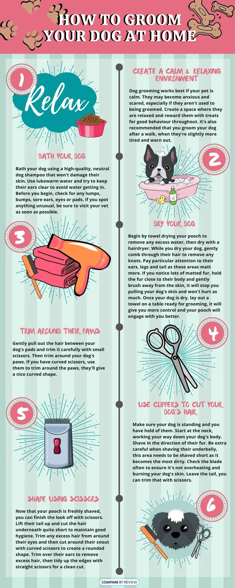 How to groom your dog infographic