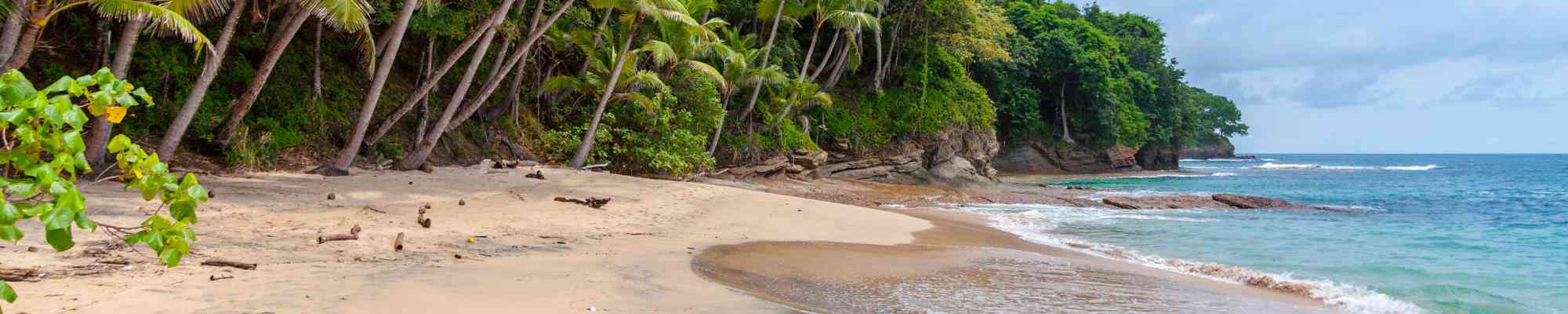 Coverwise Travel Insurance Reviews Compare by Review