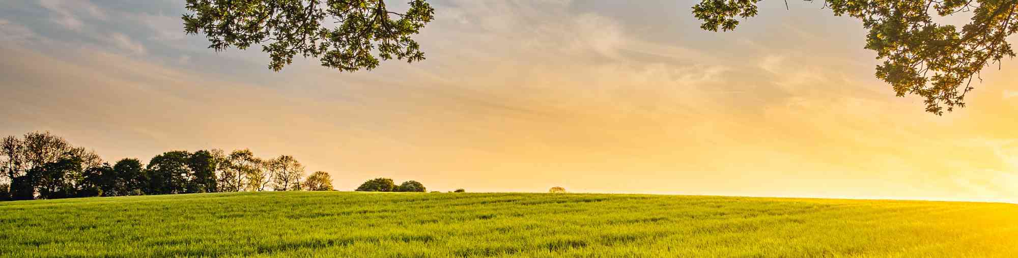 Which life insurance is right for me banner
