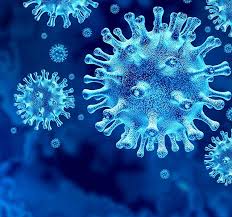 coronavirus